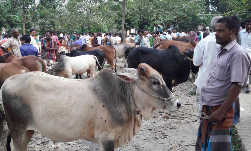 Officials advise against animal market in Dhaka, three other cities amid Covid-19 pandemic